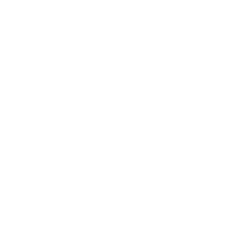 Sarg Organization Values Animation